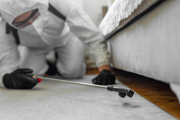 Professional Termite Control technician working in Bluffton, IN