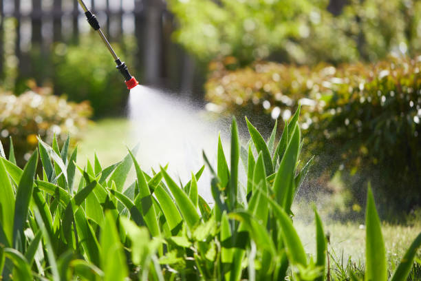 24/7 Emergency Termite Control experts in Bluffton, IN
