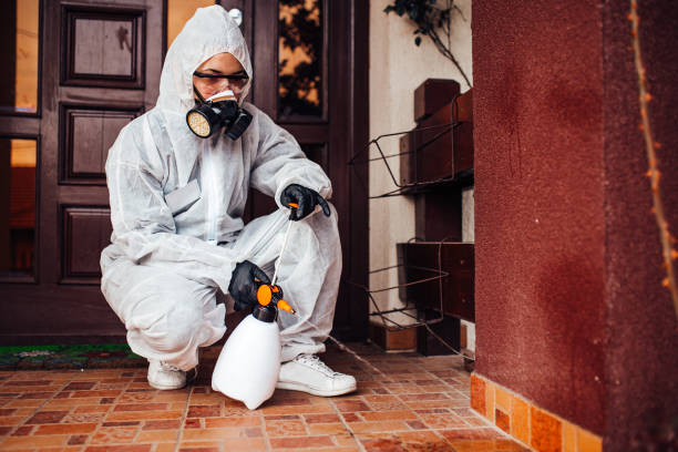 Reliable Termite Control contractor in Bluffton, IN by Nex Pest Control