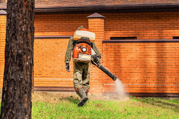 Top rated local Termite Control specialists in Bluffton, IN